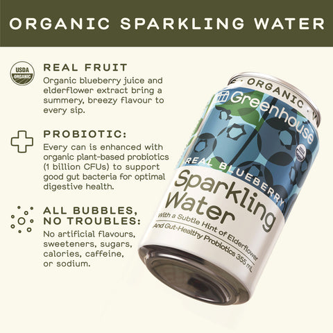 Real Blueberry Sparkling Water